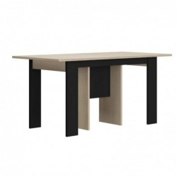 TABLE EXTENSIBLE 160/295 EXIT