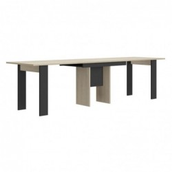 TABLE EXTENSIBLE 160/295 EXIT