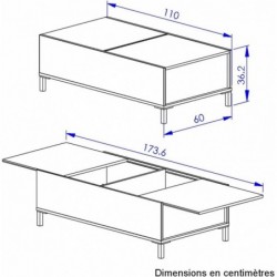 TABLE BASSE INDUSTRIELLE LOCKER