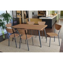 ENSEMBLE TABLE + 6 CHAISES...