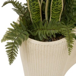 SANSEVIERIA SKY EN POT